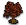 Edelholzbaum