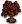 Edelholzbaum