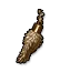 Hasenpfote