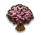 Kirschbaum