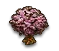 Kirschbaum