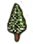 Kleine Konifere
