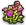 Kräuter
