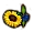 Ölsaat