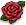 Valentinsblumen